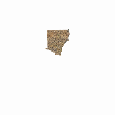 Export Image